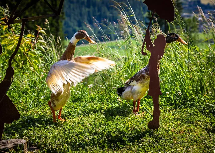 Gschwandtgut Urlaub Am Bauernhof