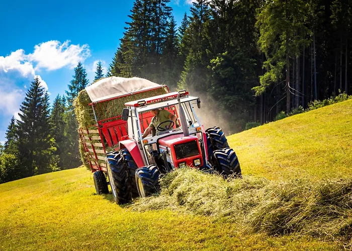 Gschwandtgut Urlaub Am Bauernhof