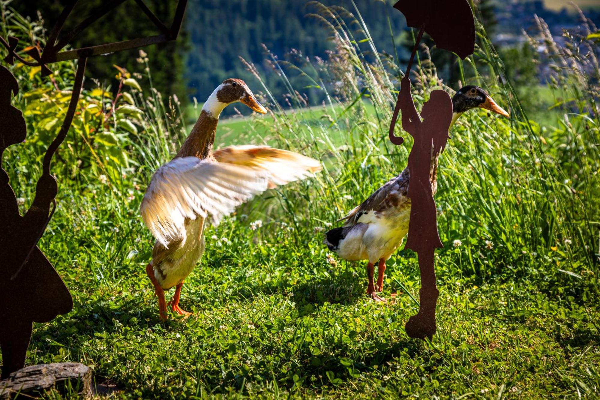 Farm stay Gschwandtgut Urlaub Am Bauernhof Schwemmberg