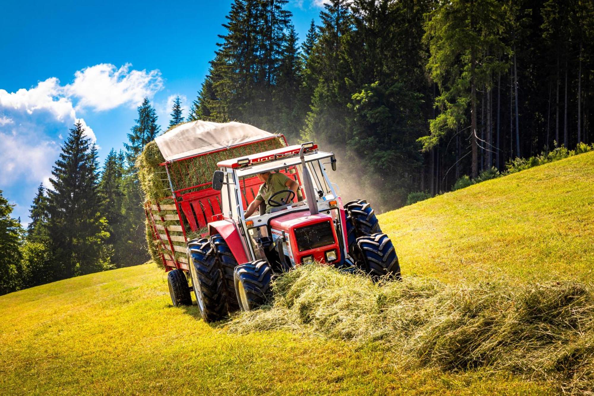 Gschwandtgut Urlaub Am Bauernhof Farm stay *